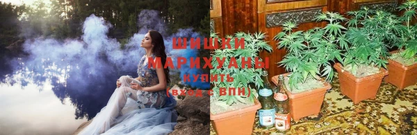 ГАЛЛЮЦИНОГЕННЫЕ ГРИБЫ Богородицк